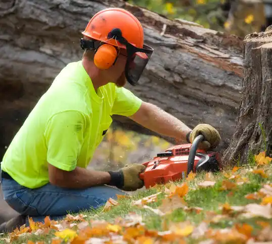 tree services Sumrall